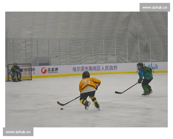 国际冰球赛场群雄逐鹿推动全球冰雪运动新格局与合作未来版图景展